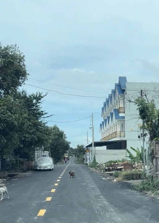 Bán đất vàng trung tâm Châu Pha, Bà Rịa - Vũng Tàu - Sổ hồng sẵn sàng