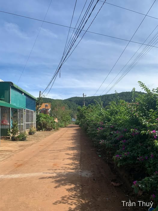 Đất vàng Đạ Ròn vuông vắn 16m x 36m, sổ riêng, chờ đón nhà vườn sinh lời