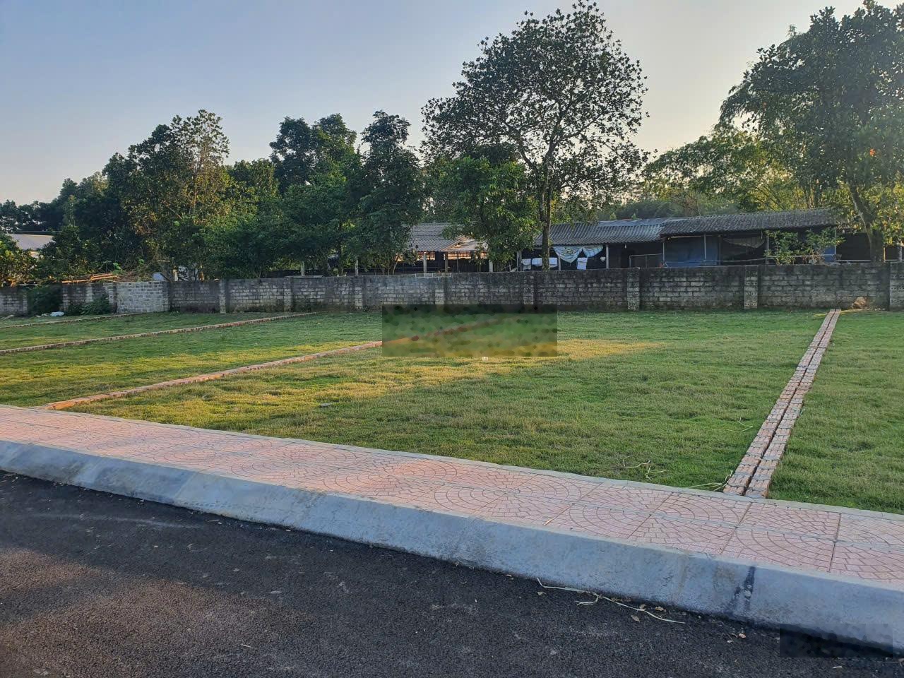 Bán lô LK3A Xuân Sơn diện tích 103m², vị trí đẹp, giá thu chỉ 1.85 tỷ sổ sẵn