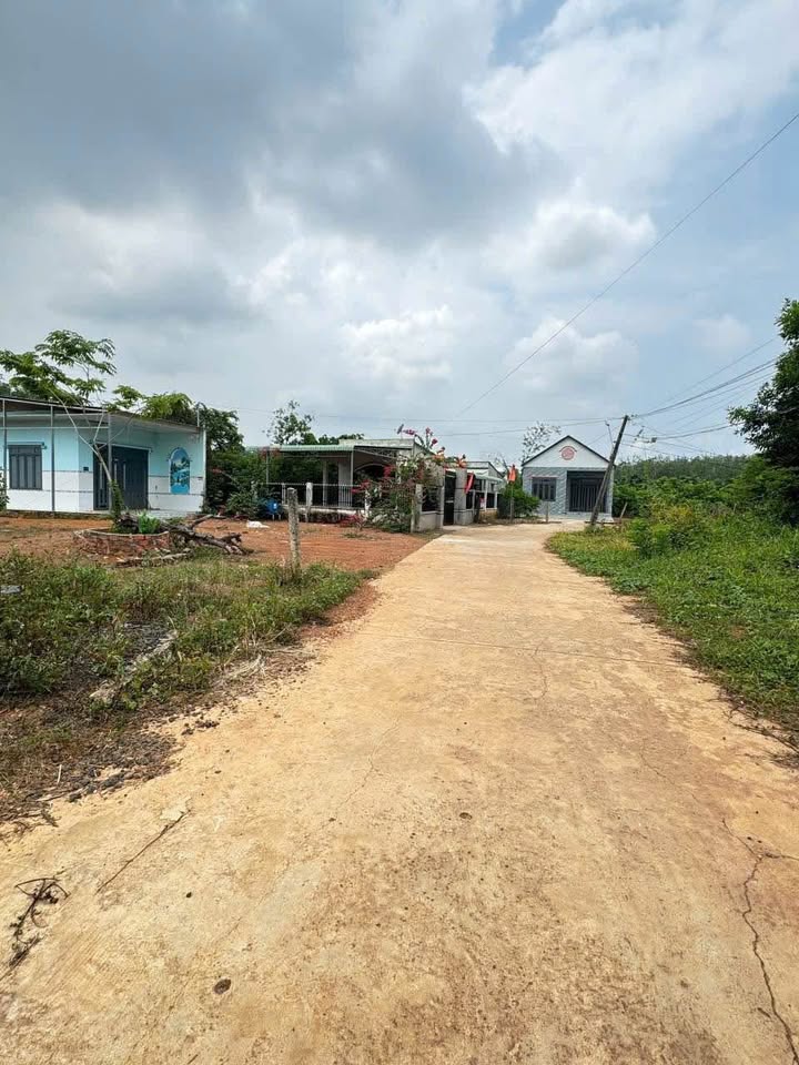 Siêu phẩm đất vườn tại Tiến Thành, Bình Phước đang chờ chủ nhân mới