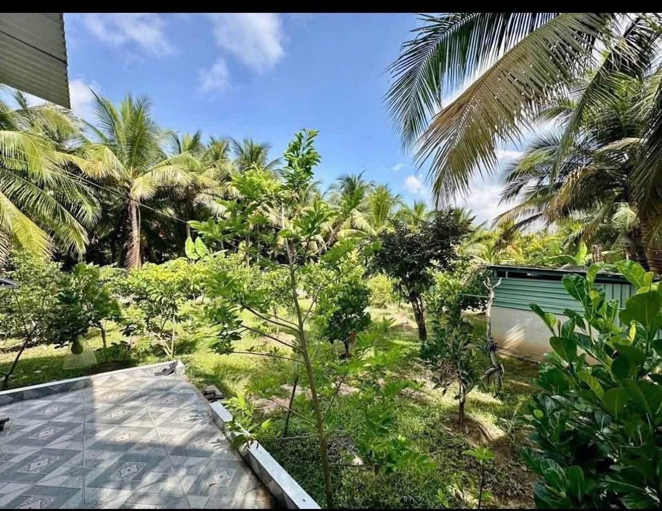 Bán lỗ 1000m2 đất vườn nghỉ dưỡng, 100m2 thổ cư tại Phú Giáo, Bình Dương