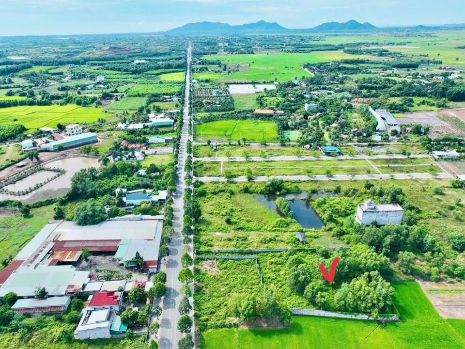 Đất vàng Tỉnh Lộ 52, 3137m2 view ruộng, gần biển, giá hời