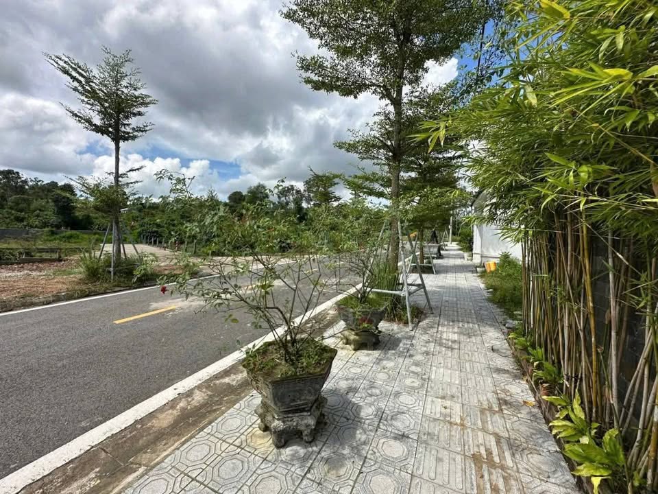 Đất vàng Phú Bài: 100m2, mặt tiền rộng, đường 13,5m, cơ hội đầu tư sinh lời