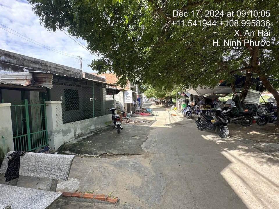 Đất nhà cấp 4 xinh xinh, giá hời 500 triệu, Phan Rang