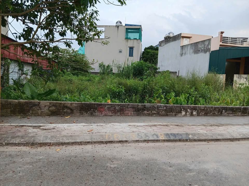 Biệt thự mặt đường Nam Định, diện tích 277m2, mặt tiền 10,6m, hướng Bắc