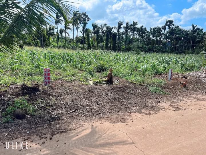 Đất Eakao 2 lô 6x26m, giá hời 3xx/lô, ai chốt nhanh còn kịp