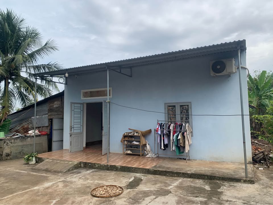 1ha đất vườn trái cây trù phú - cơ hội vàng cho nông nghiệp