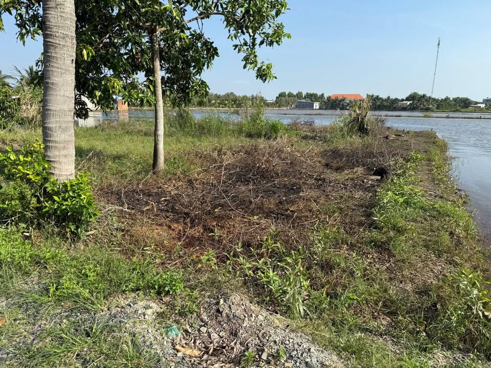 Đất nền F0 5m x 27m full thổ cư, sổ riêng, giá rẻ bất ngờ tại Hòa Khánh, Tây Ninh