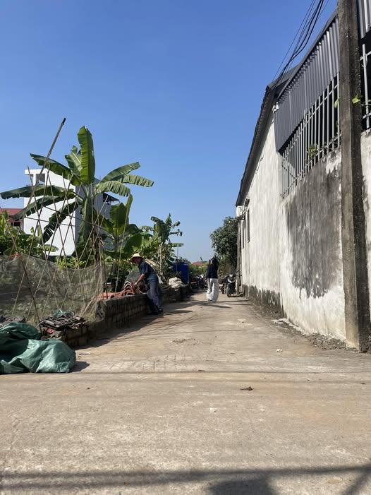 Đất Thư Phú, hơn 2 tỷ có ngay 50m2, ô tô đỗ cửa