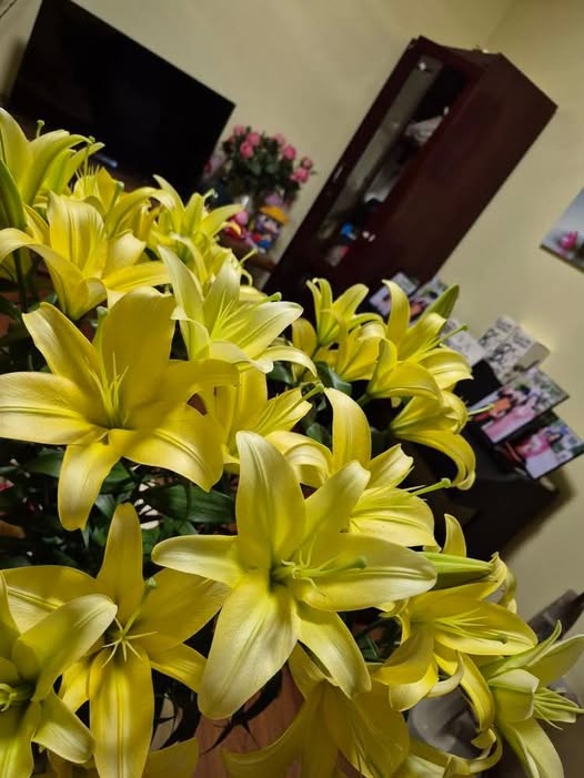 Cho thuê căn hộ 2 ngủ, 76m2 tại Long Biên, Hà Nội - Giá 7 triệu/tháng