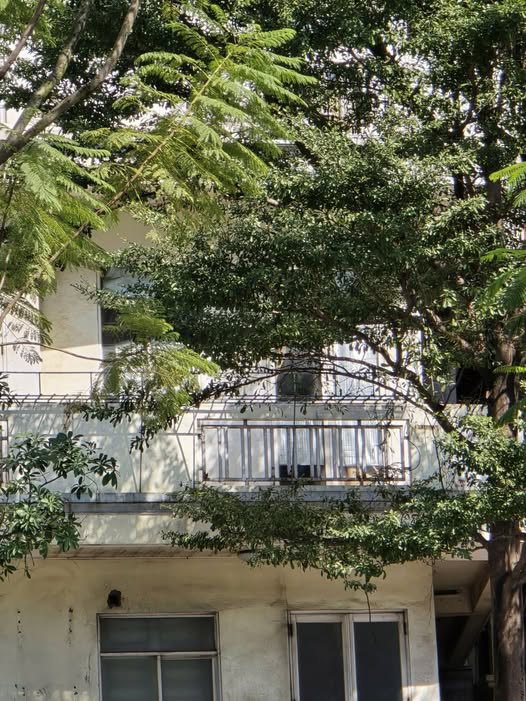 Nhà Võ Thị Sáu lô góc 5 tầng, ngõ thông, sổ đỏ chính chủ, giá nhỉnh 7 tỷ