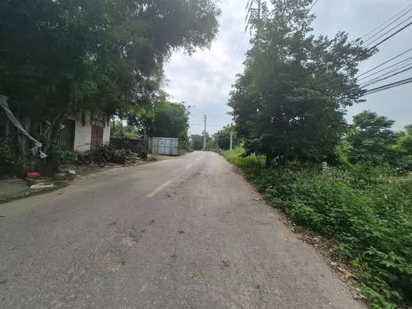 Siêu phẩm đất nền mặt đường 411C, Ba Vì, Hà Nội đang chờ chủ nhân xứng tầm