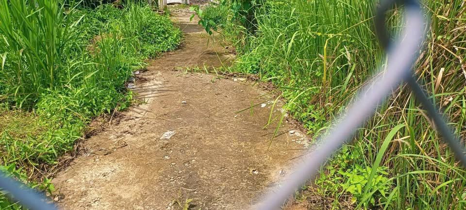 Bán đất 510m2, 100m2 thổ cư, gần cổng chào Phú Nhuận, Vĩnh Long - 800 triệu