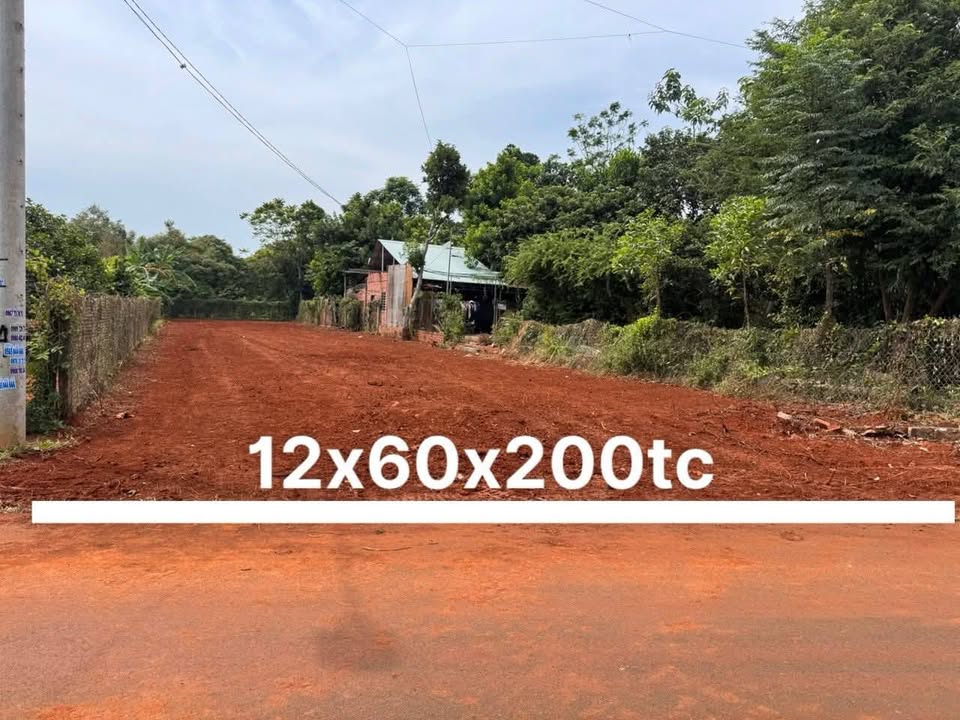 Đất Long Phước 653m² mặt tiền Tỉnh lộ 52, giá 3 tỷ chốt lộc