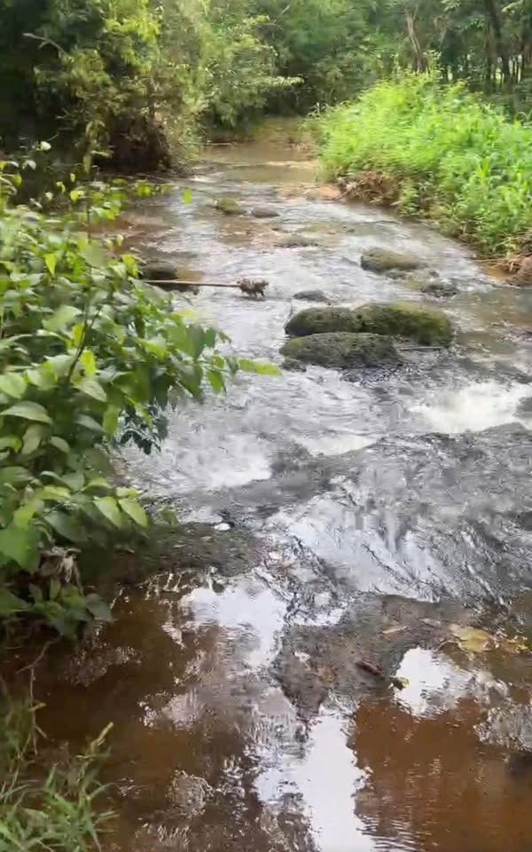 Cần bán gần 3 sào cao su đã già tại Tân Phước, Bình Phước.