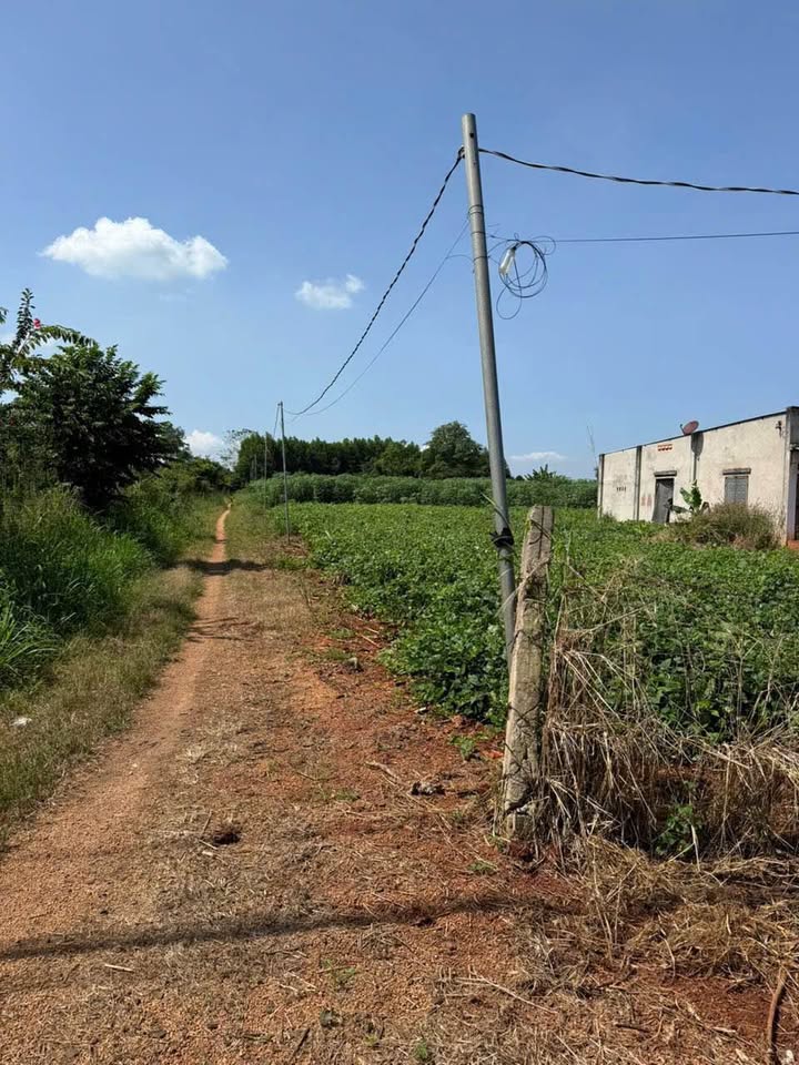 Bán đất 12x40m, có 100m2 thổ cư tại Xuyên Mộc, Bà Rịa - Vũng Tàu