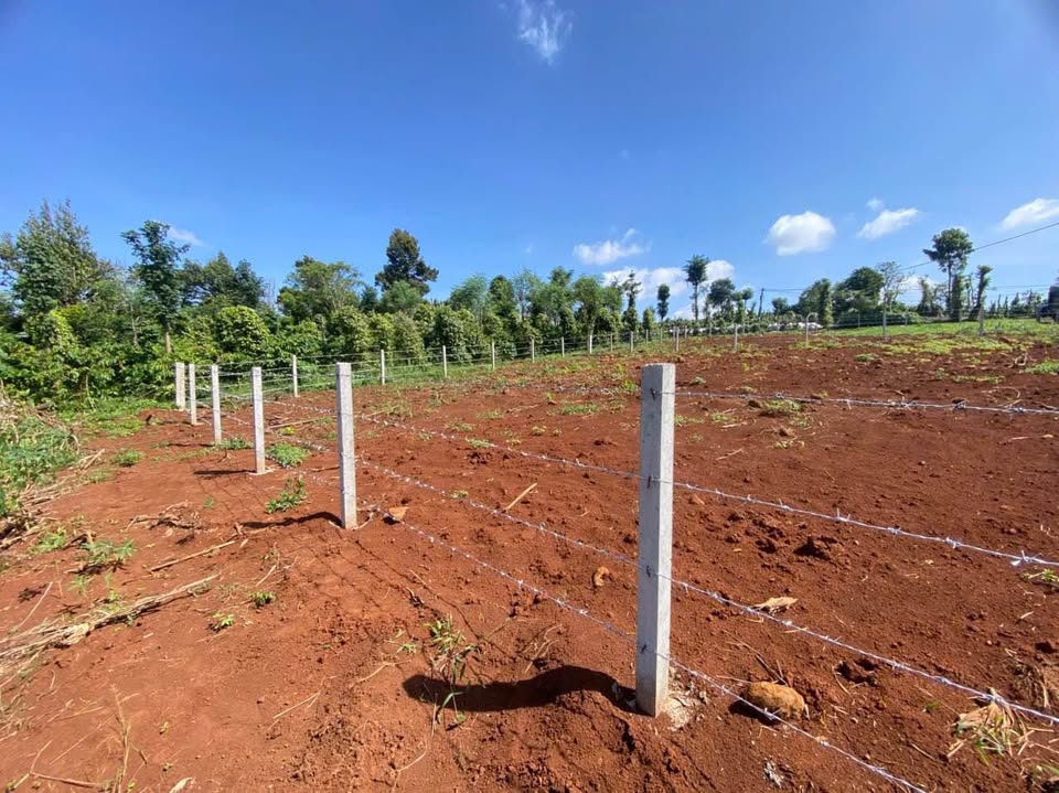 Bán gần 1000m² đất đẹp, sổ riêng, gần chợ, trường học, siêu thị tại phường trung tâm Buôn Mê Thuột