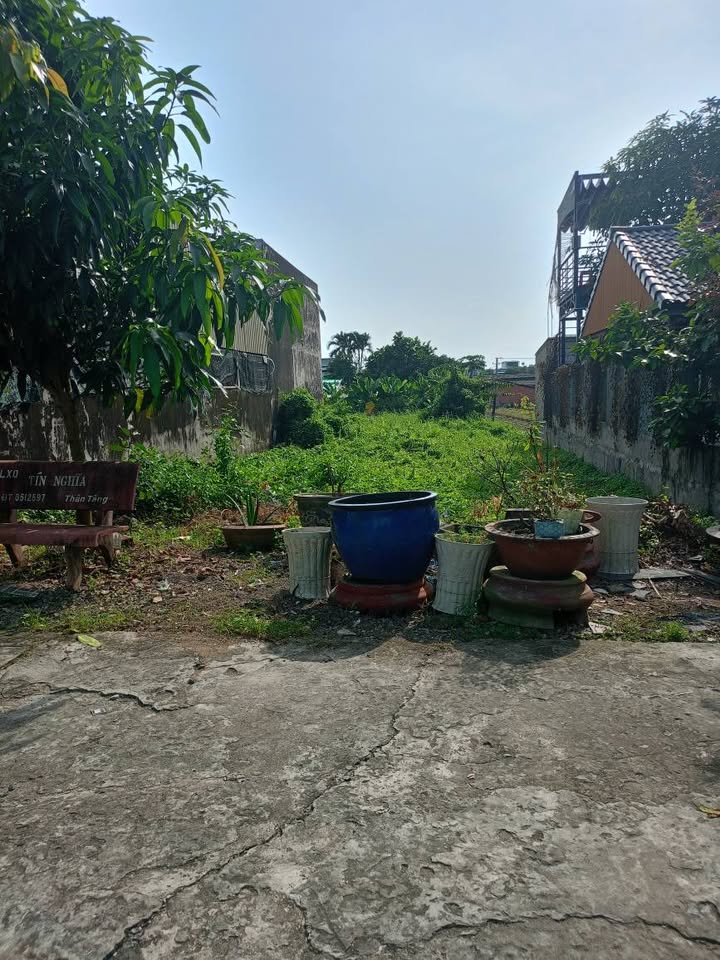 Bùng nổ cơ hội đất vàng 192m2 hướng Đông Bắc, hẻm ô tô rộng rãi tại Tân An