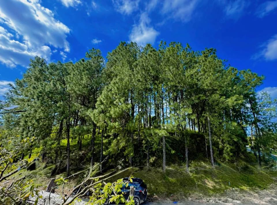 Nhà 3 phòng ngủ full nội thất, cạnh làng Hành Hương - an cư hay kinh doanh đều tuyệt