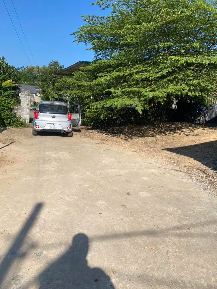 Bán đất nền tại Phú Xá, gần đường Việt Bắc và siêu thị GO, 120m2 thổ cư, ô tô tránh, sổ đỏ sẵn