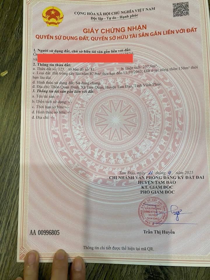 Đất thổ cư Tam Đảo, đường to, không lo đói