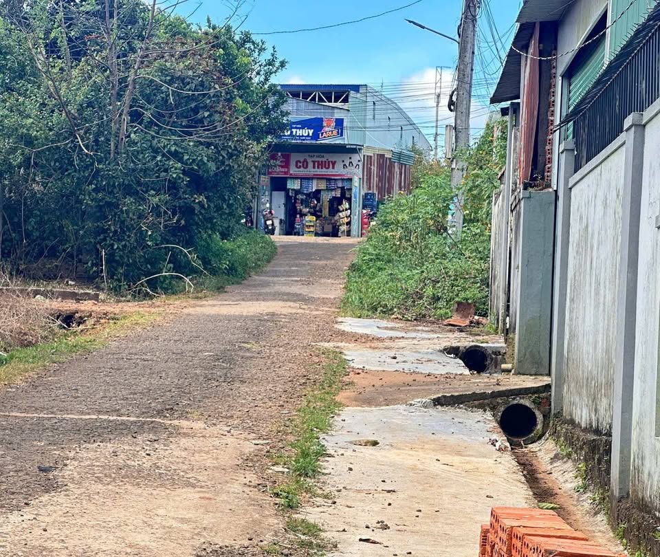 Siêu phẩm đất nền tại hẻm 125 Hoàng Sa, song song với đường Hoàng Sa sầm uất