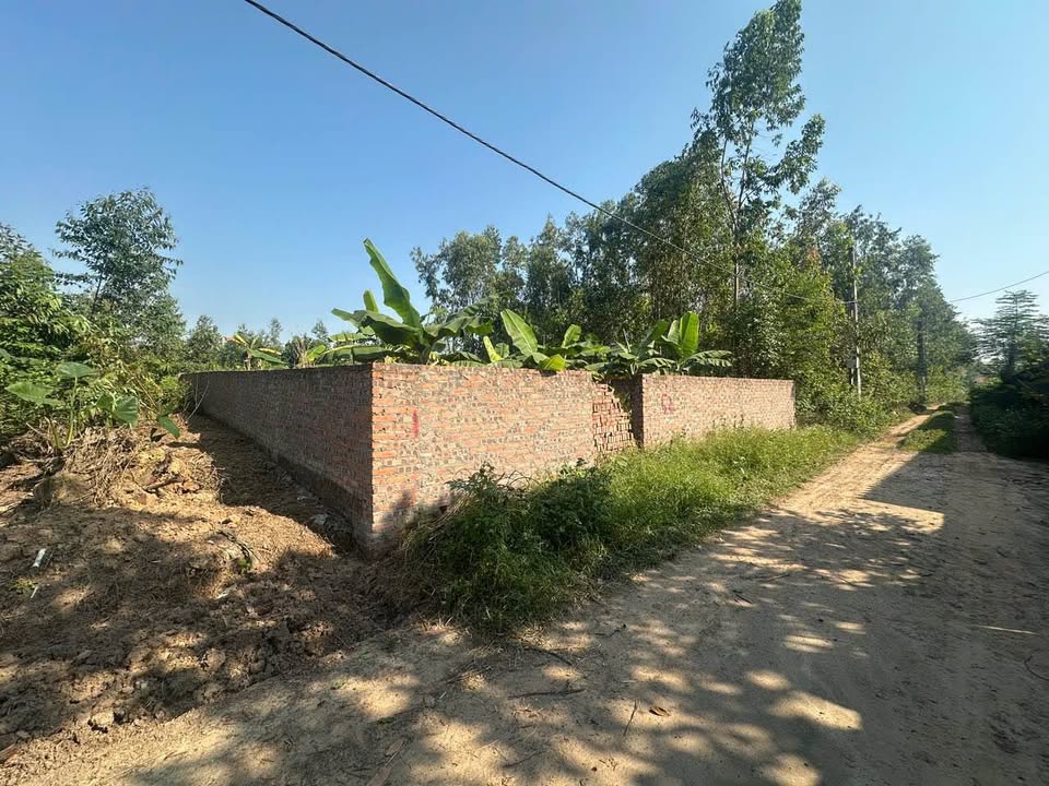 Đất 2 mặt tiền 200m2 tách 2 sổ, giá hời như cho