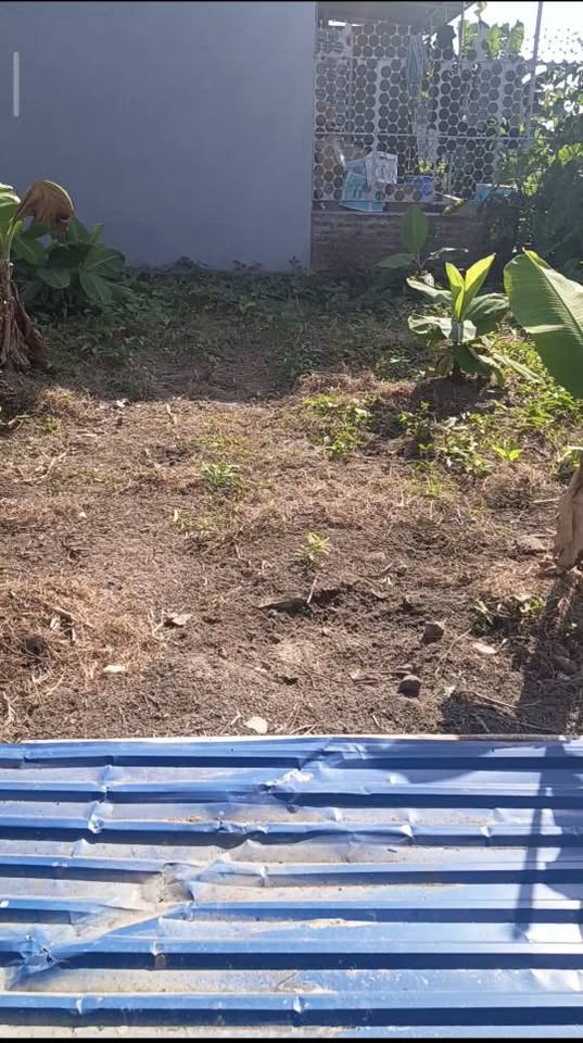 Siêu phẩm đất nền Phù Lưu, Kiến An, Hải Phòng đang làm mưa làm gió