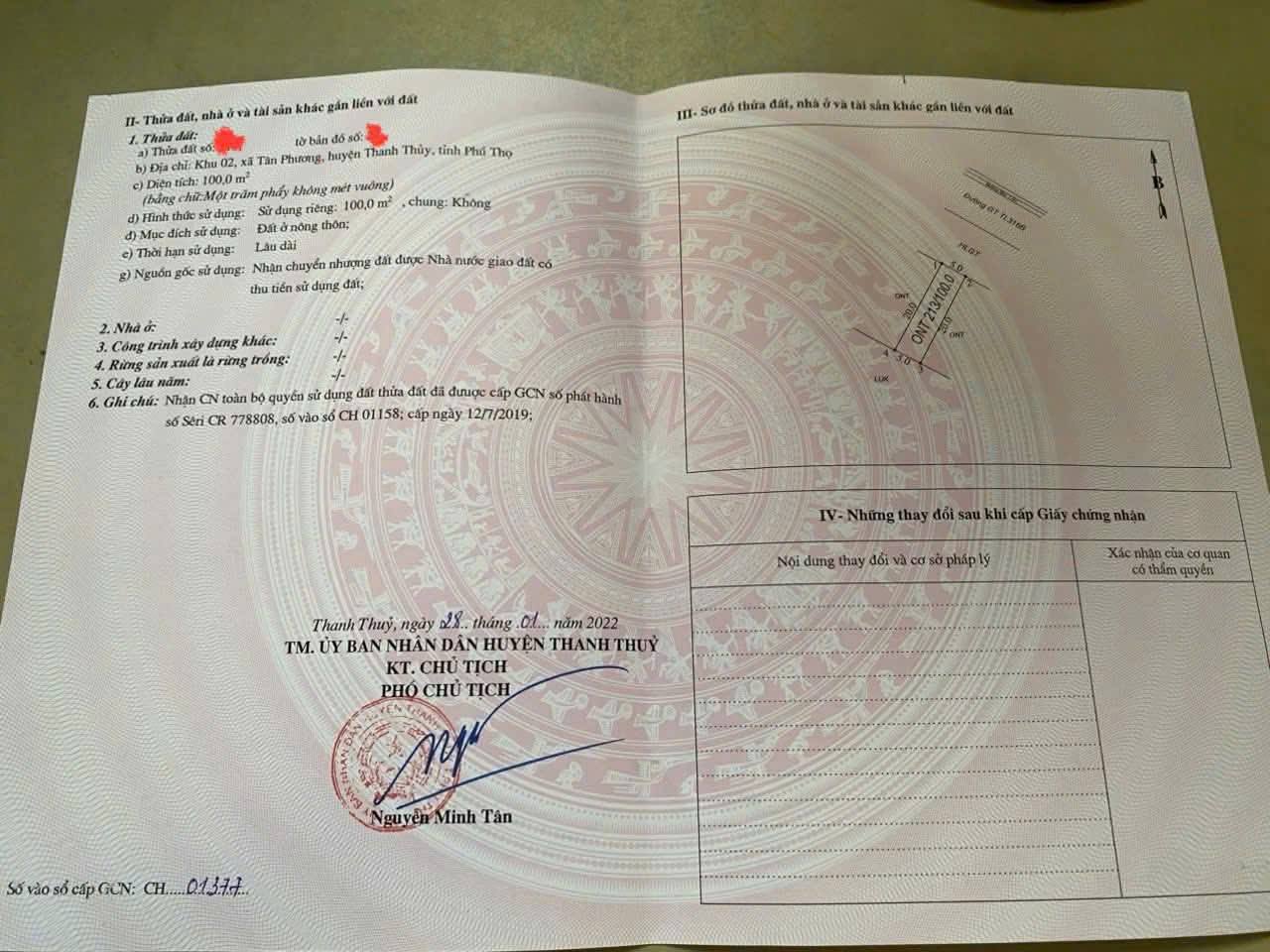 Đất vàng mặt đường Tân Phương, Phú Thọ, giá hời