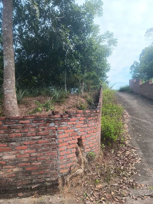 Đất 2 mặt tiền Hùng Sơn, Lâm Thao - Đầu tư xịn sò