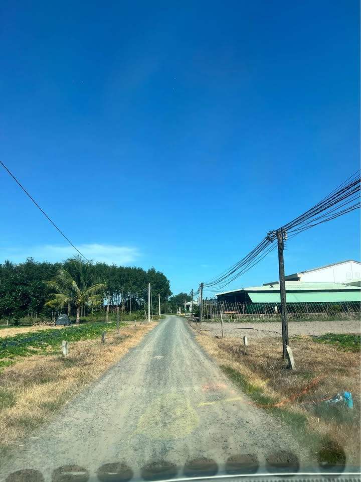 Bán gấp đất vàng Phước Minh - Lộc Ninh, sát Hồ Dầu Tiếng, dân cư đông đúc, giá rẻ bất ngờ