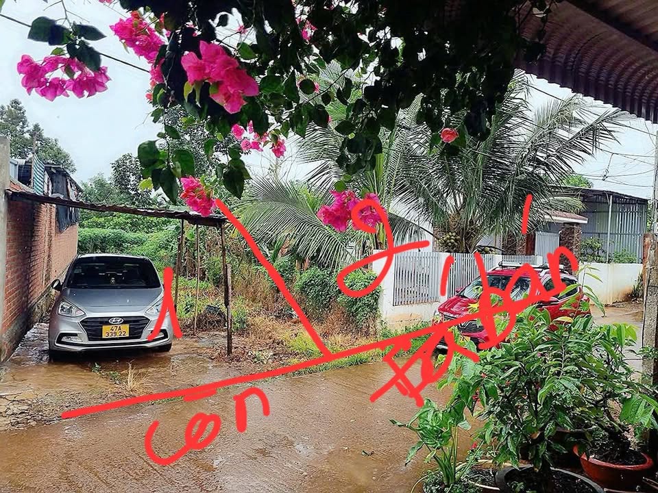 Bán đất hẻm Y Wang, phường Eakao, gần ngã sáu, vị trí đẹp