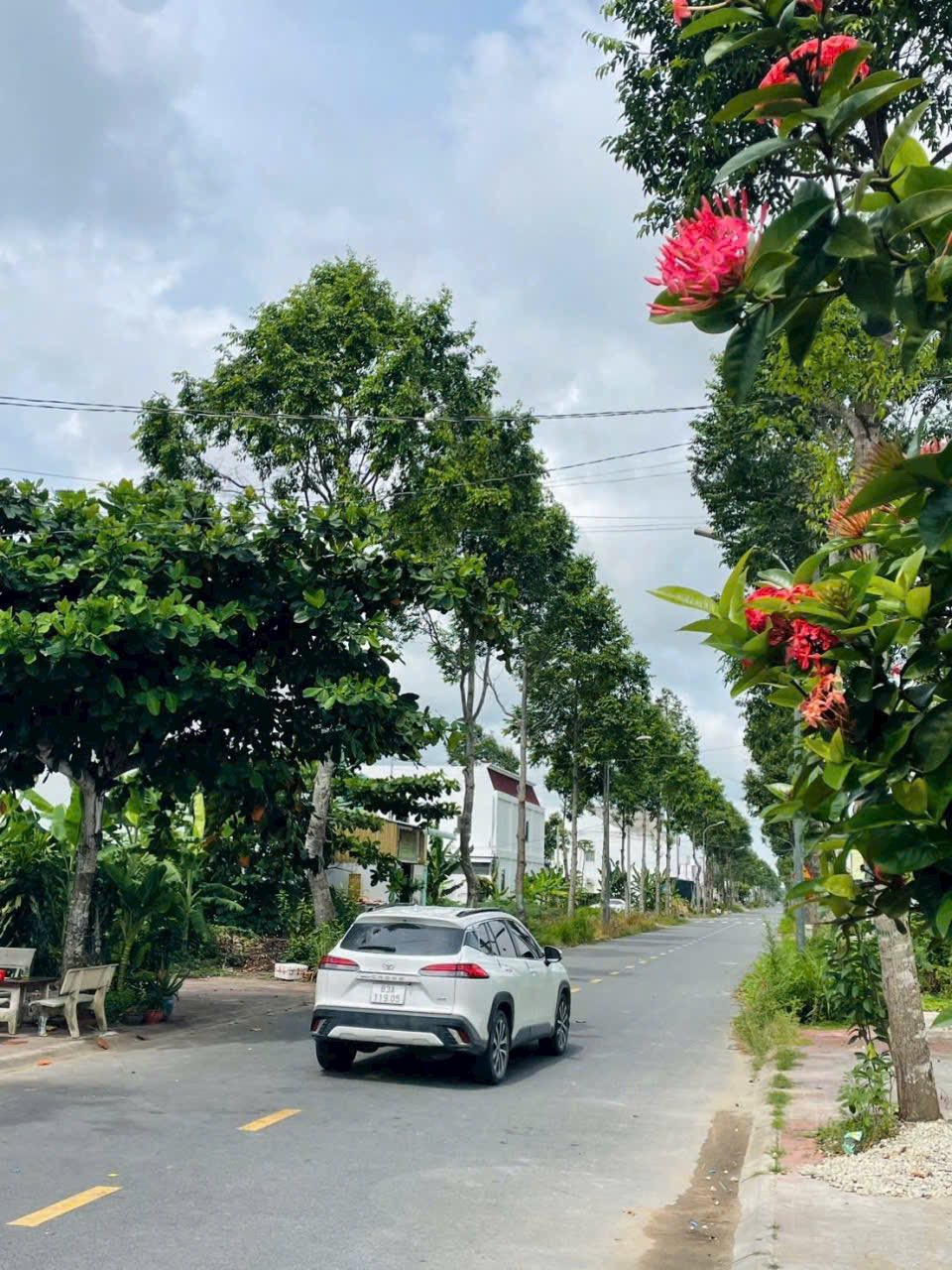 Nhà trệt lửng xinh xinh, Sóc Trăng giá hời