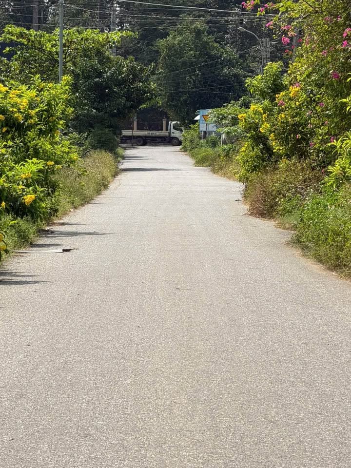 Đất nền thị trấn Long Điền, Bà Rịa - Vũng Tàu, diện tích 5.6m x 33m, sổ đỏ sẵn sàng giao dịch