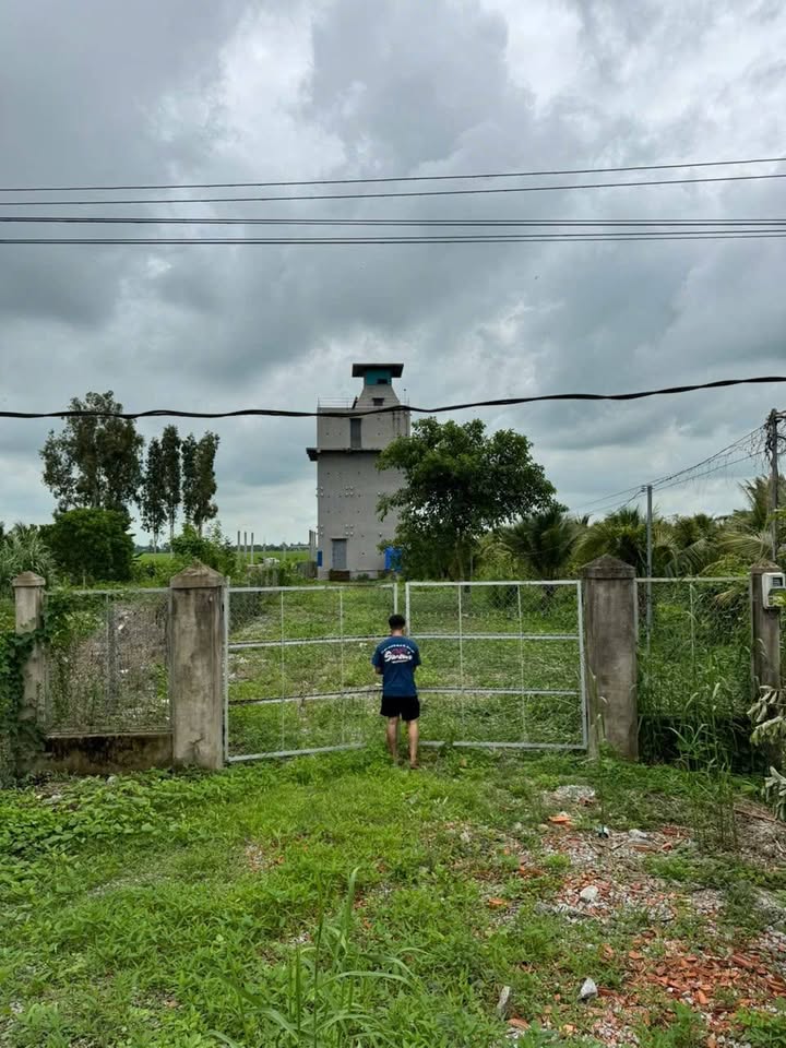 Nhà yến An Giang, thu nhập ổn định, đất rộng rãi, giá thương lượng