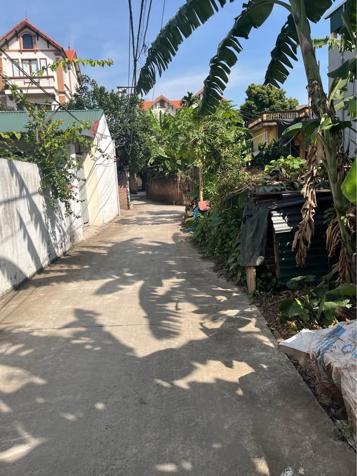 Đất Kim Sơn - Ô tô 7 chỗ ngủ trong đất, giá chỉ 2.95 tỷ