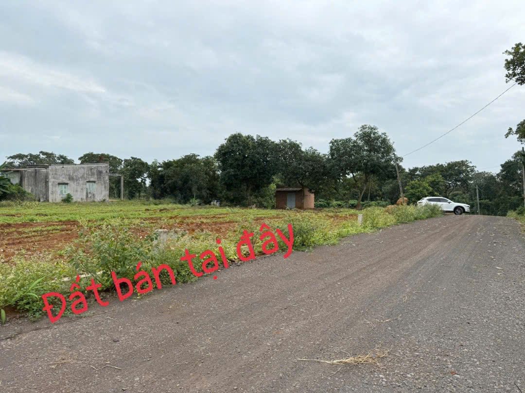 Bán mảnh đất vàng tại Bình Giã, 195m2, giá chỉ 439 triệu