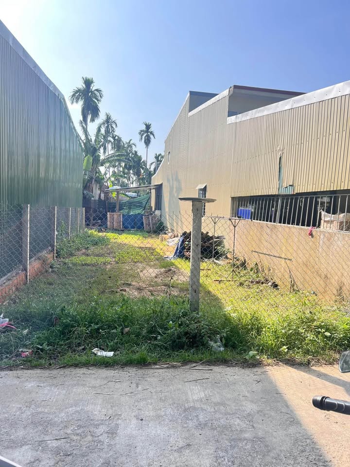 Đất xịn xò, đường ô tô vi vu, giá hời đây