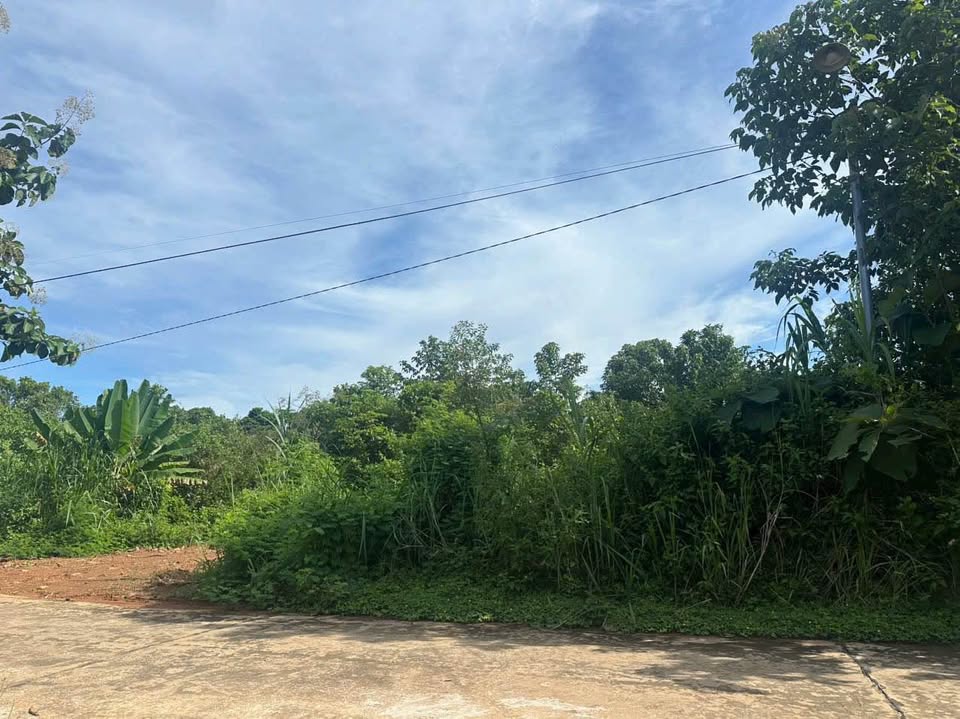 Ba lô đất nền liền kề tại Phú Vinh, Định Quán - Cơ hội đầu tư hấp dẫn