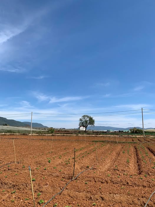 Bán mảnh đất tại thị trấn Thạnh Mỹ, đường ô tô, gần trường học, chợ