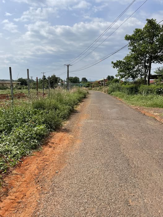 Đất vàng Chư Sê 1100m2 ôm đường nhựa, sổ hồng sẵn sàng