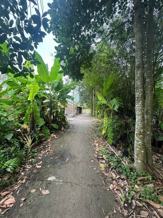 Mảnh đất xịn sò đang chờ chủ mới đây ạ