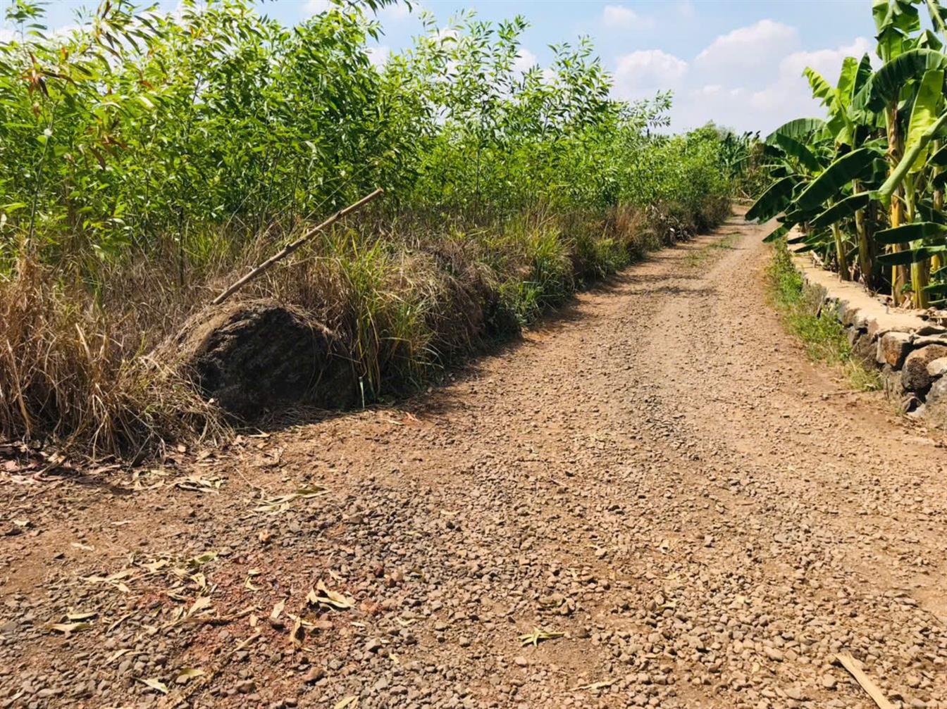 Đất góc 2 mặt tiền 3551m² tại Trảng Bom, Đồng Nai - Cơ hội đầu tư sinh lời