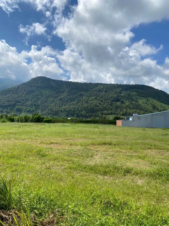 Đất nền Thạnh Tân, Tây Ninh ô tô vào tận nơi, sổ đỏ trao tay, giá chỉ 350 triệu