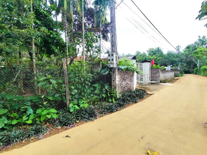 Siêu phẩm đất nền Ba Vì, Hà Nội chỉ 700 triệu đồng cho lô đất rộng tới 360m2