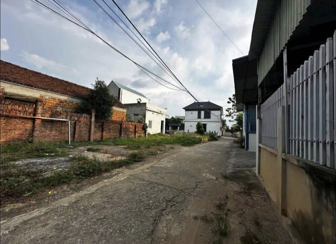 Bán đất 121m² Quốc Oai, Hà Nội - mặt đường bê tông, tiềm năng tăng giá cao