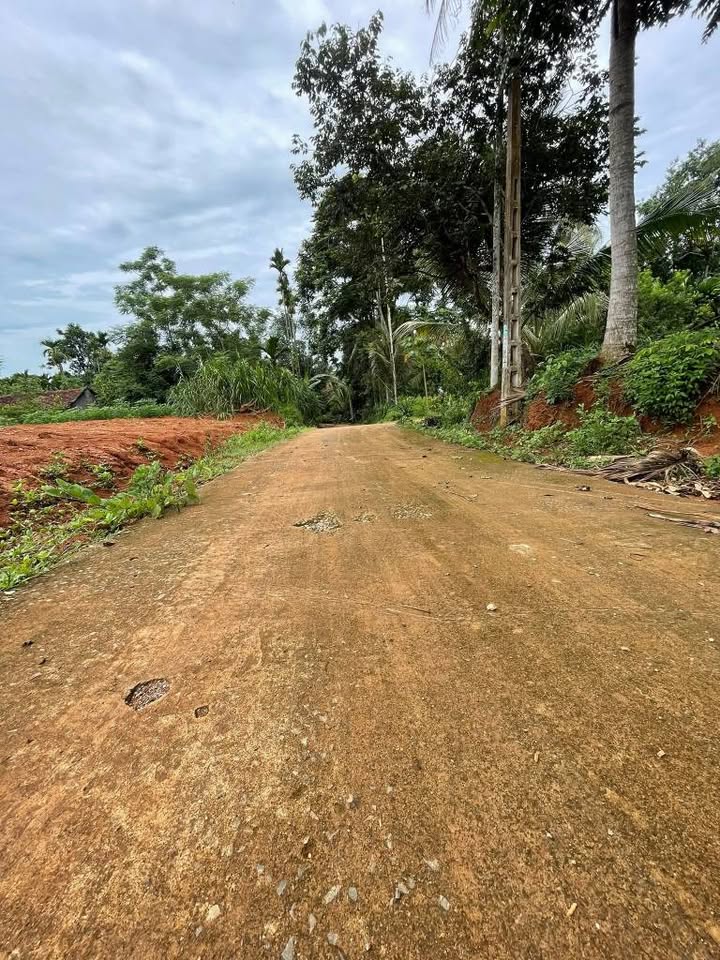 Đất Ngọc Lặc tiềm năng sinh lời cao, đường thông tứ phía