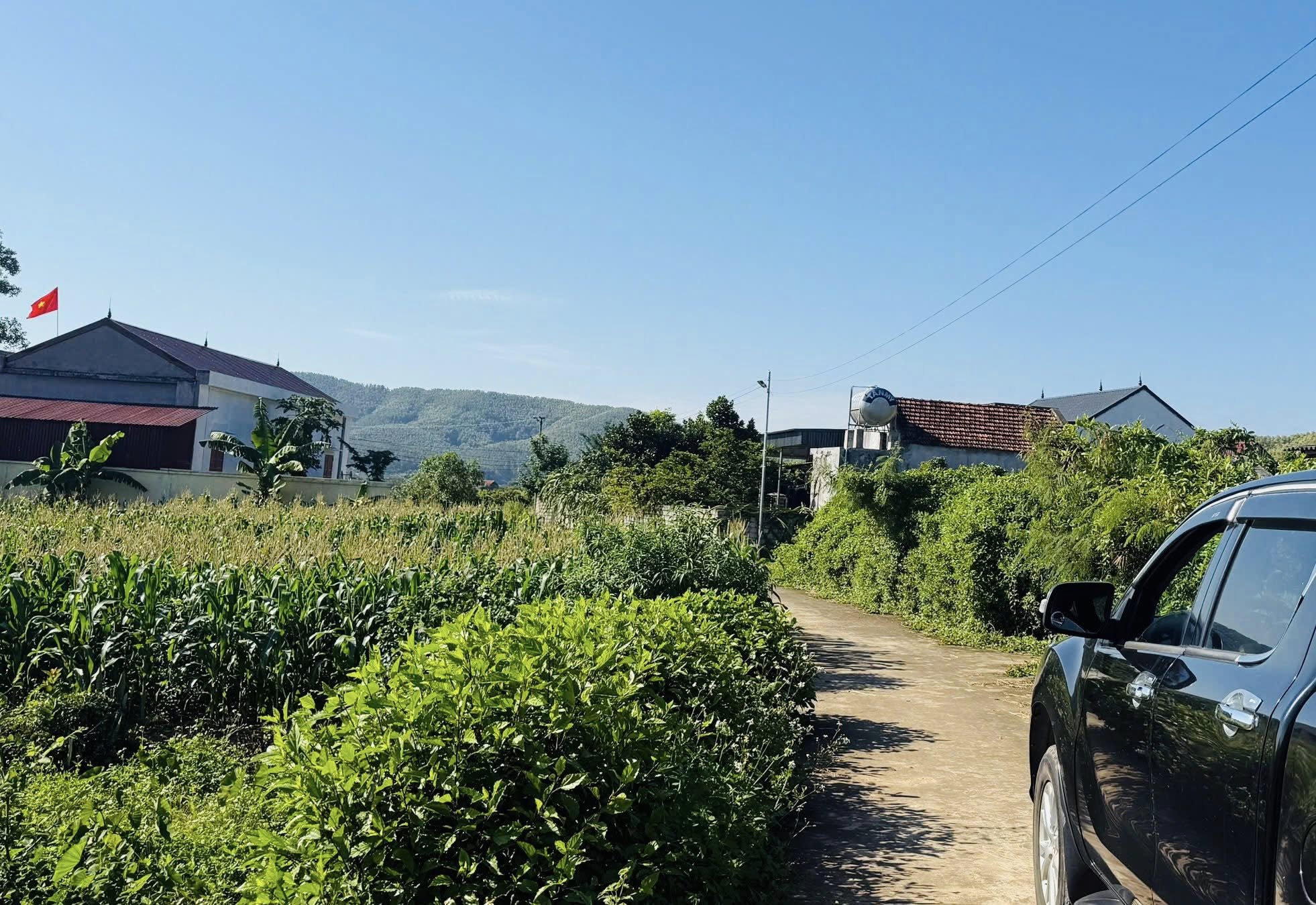 Nhà vườn 4.100m² Quốc Oai, sổ đỏ sẵn sàng, giá 1 tỷ