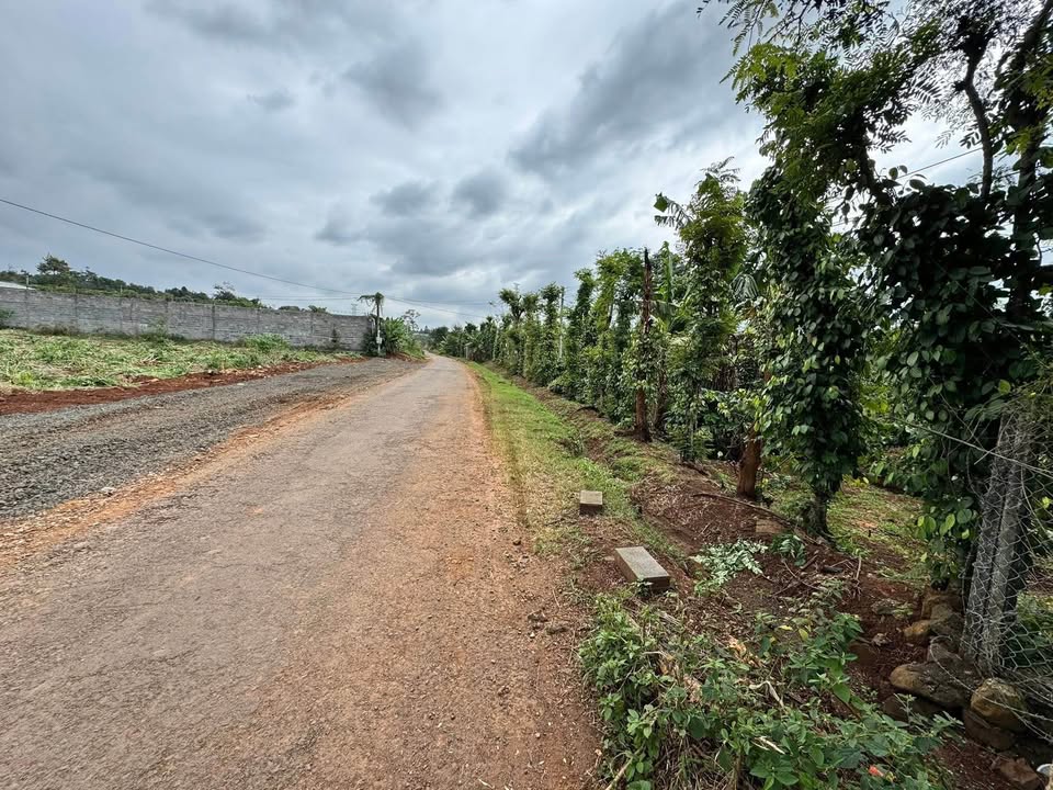 Siêu phẩm đất nền tại trung tâm thành phố Buôn Ma Thuột, tỉnh Đắk Lắk