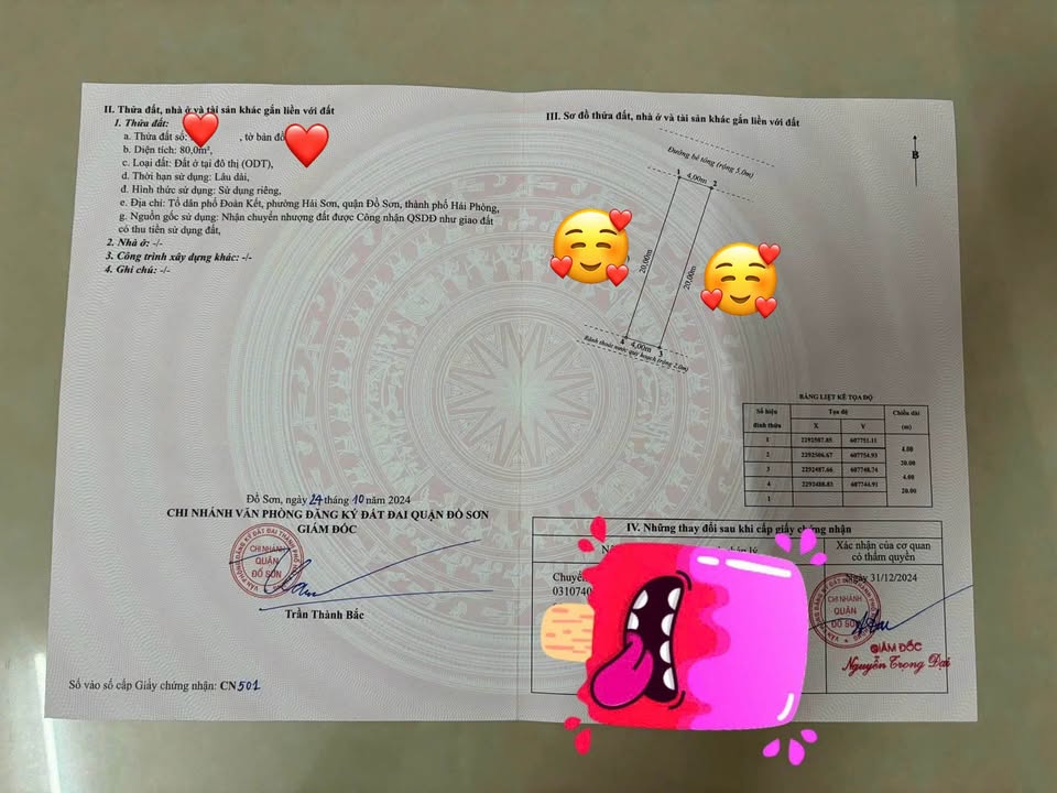 Siêu phẩm đất nền 80m² tại đường Đoàn Kết, Hải Sơn, Đồ Sơn, Hải Phòng đã cập bến